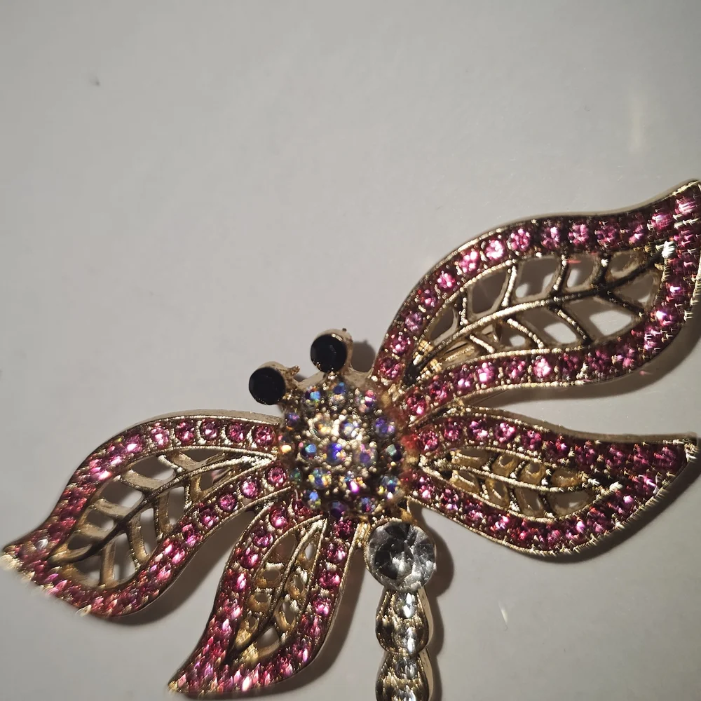 ⚡Stunning Vintage-Style Rhinestone Dragonfly Brooch Collection - Multi-Color Lot